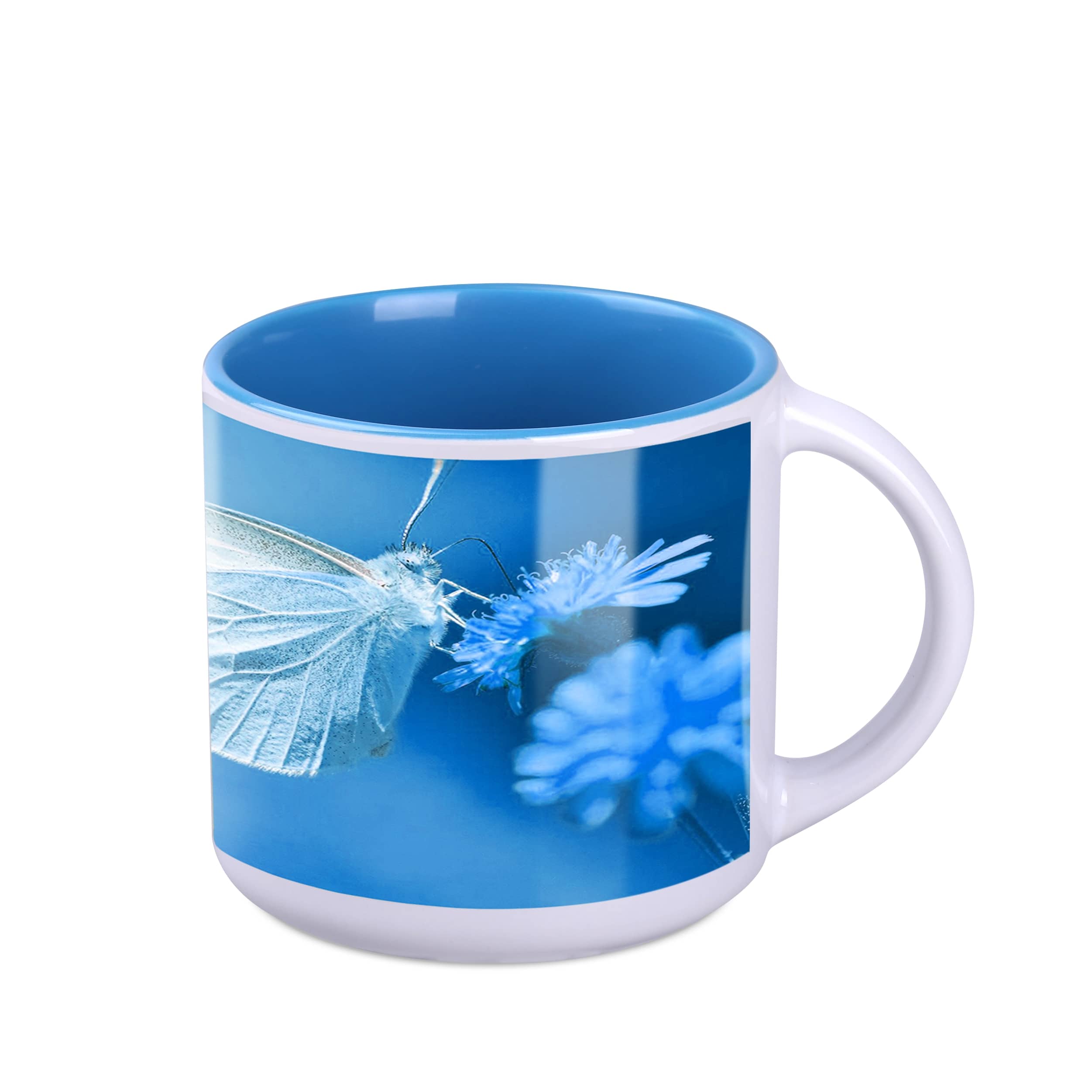 white / light blue